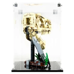 Front Page 37 Front Page -Displaygeek Shop 76964 display case lego jurassic world dinosaur fossils t rex skull side