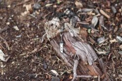 Jujutsu Kaisen™ Yuji's Slaughter Demon Necklace 6 Jujutsu Kaisen™ Yuji's Slaughter Demon Necklace -Displaygeek Shop IMG 7594